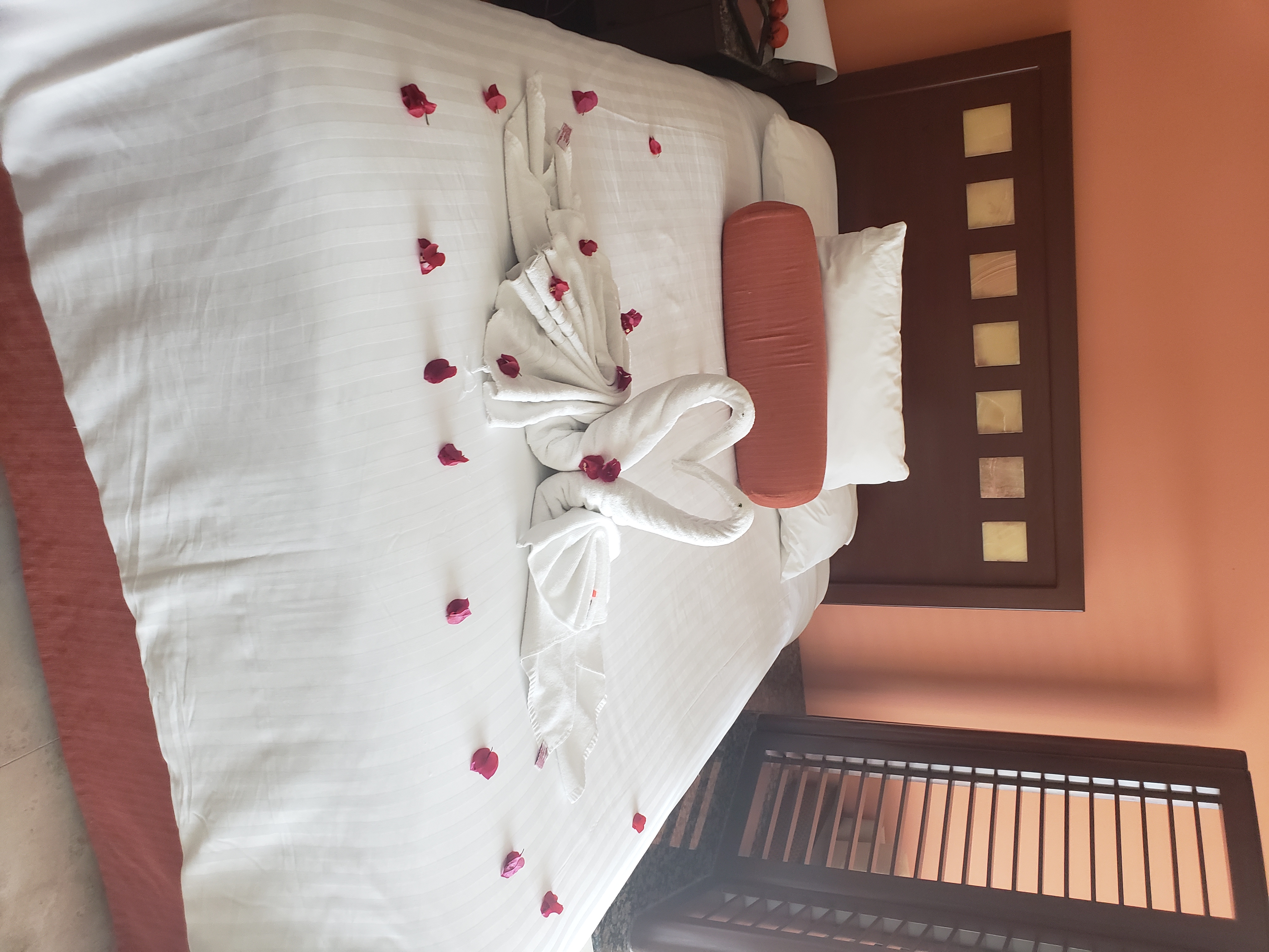 Towel Swans all-inclusive eco-resort