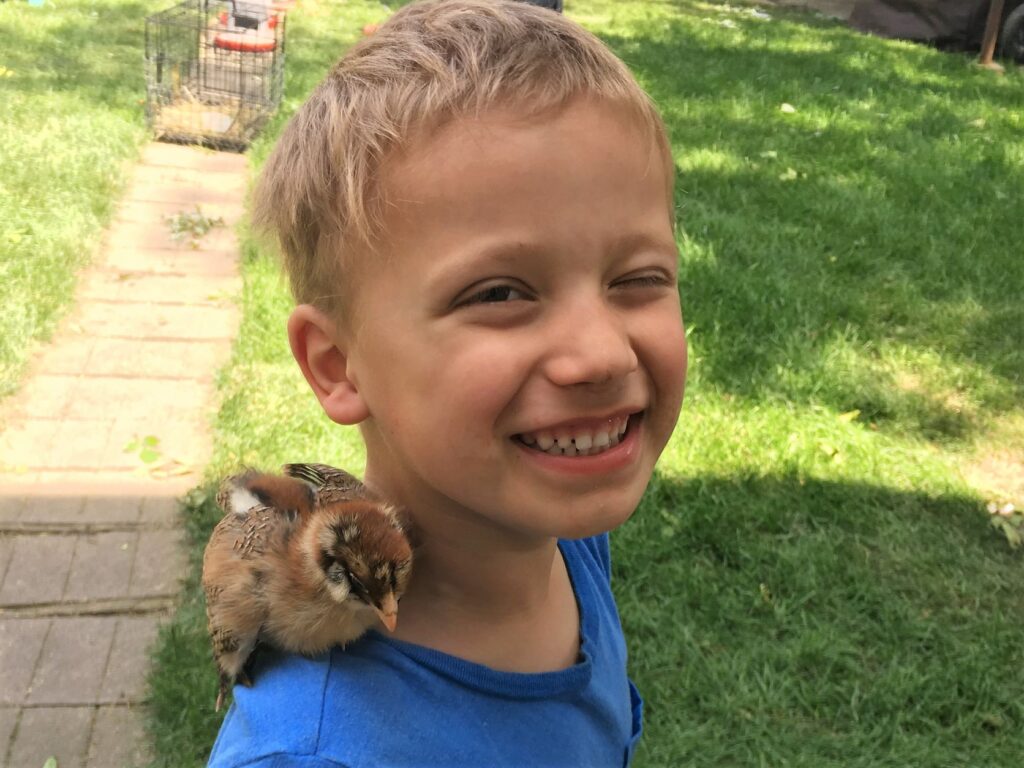 Little Man smiling with a baby chick sitting calmly on his shoulder.