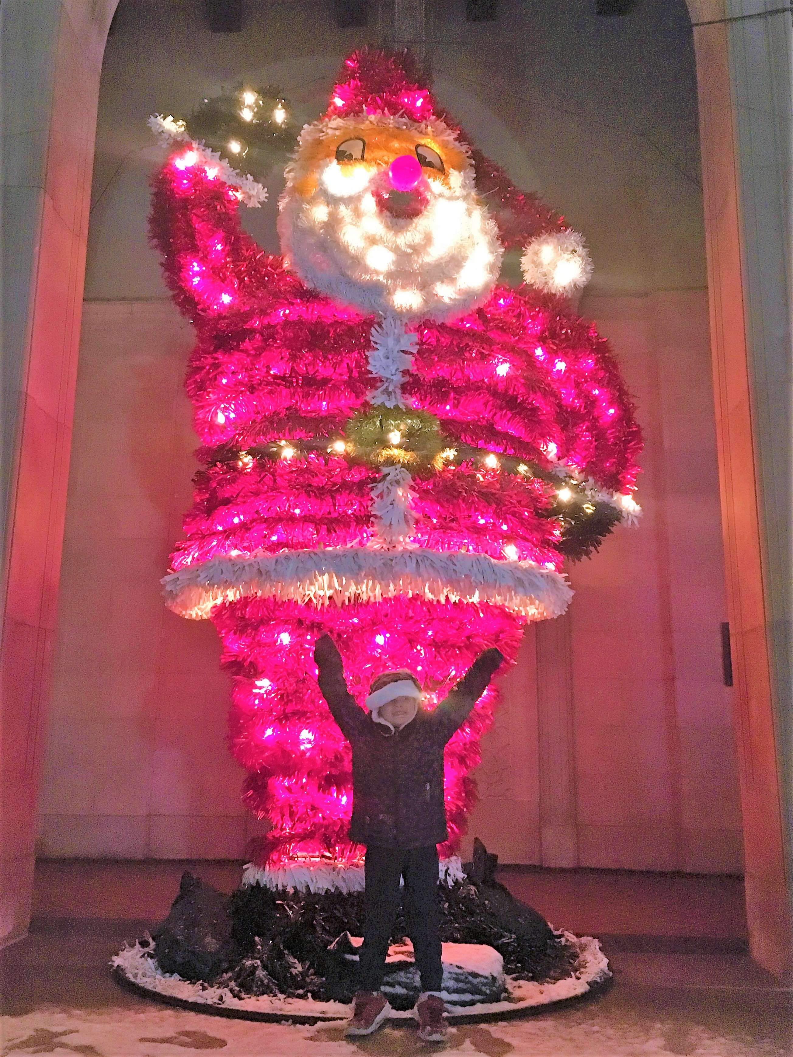 fun things to do in Chicago in December include the Christmas Lights at Lincoln Park Zoo are one of the best fun things to do in Chicago in December.