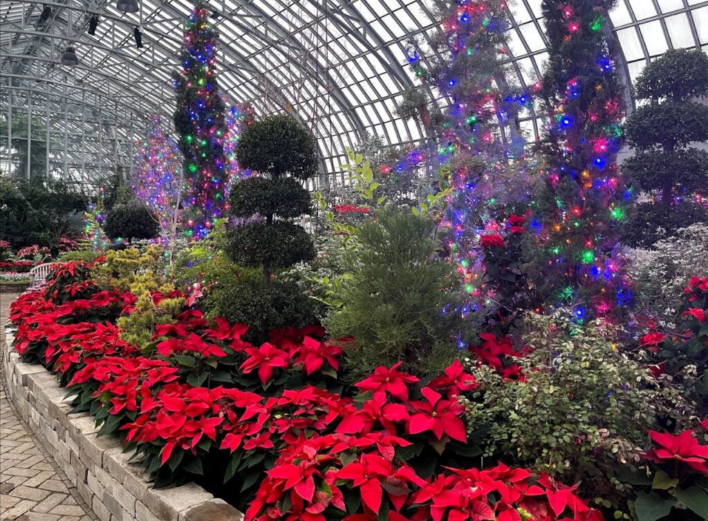 Garfield Park Conservatory Flower Show is a really fun thing to do in Chicago with kids in December because it's SO warm!