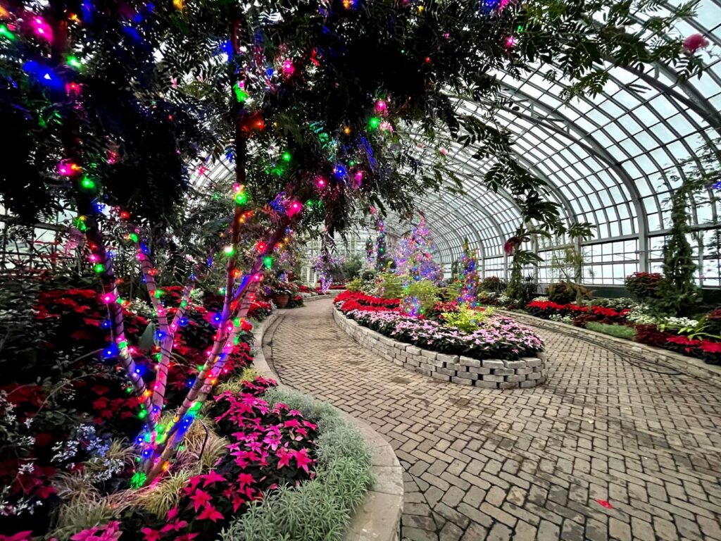 Garfield Park Conservatory Flower Show is a really fun thing to do in Chicago with kids in December because it's SO warm!