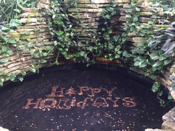 Garfield Park Conservatory Flower Show is a really fun thing to do in Chicago with kids in December because it's SO warm!