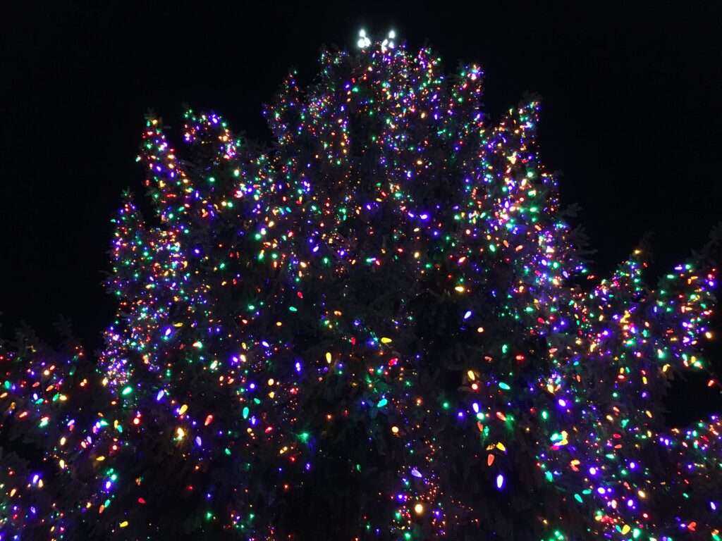 The fun things to do in Chicago in December includes seeing the Chicago Christmas Tree.