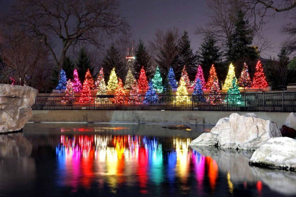 fun things to do in Chicago in December include the Christmas Lights at Lincoln Park Zoo are one of the best fun things to do in Chicago in December.