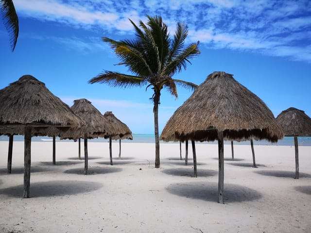day trips from merida