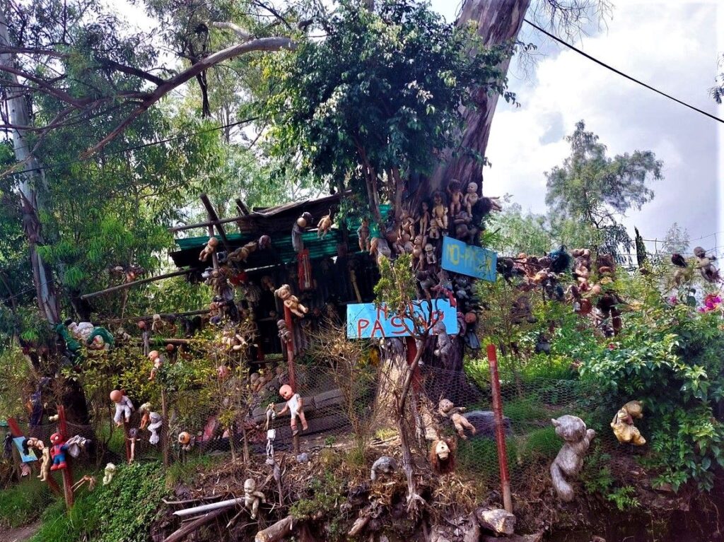 Dolls hung on fences, trees, and a hut on Doll Island in the Xochimilco canals. One of the dark tourism destinations in Mexico City.