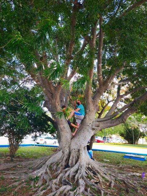 For climbing kiddos, Parque San Juan is a great choice to spend some time in Merida with kids.