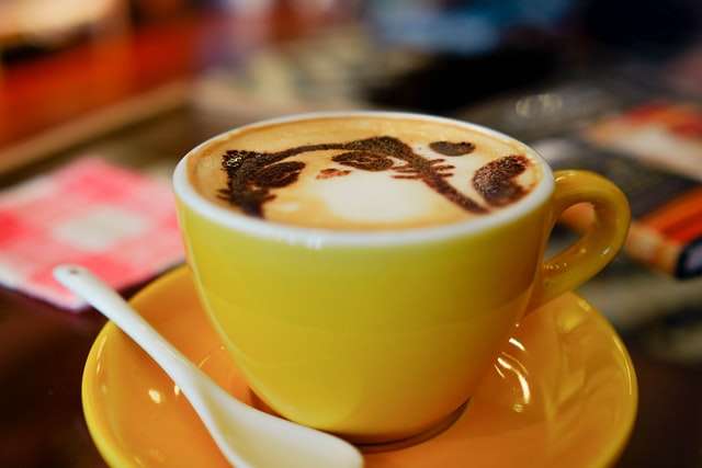 Hanging out with cats while drinking cat-themed beverages is a fun way to relax in Oaxaca with kids.
