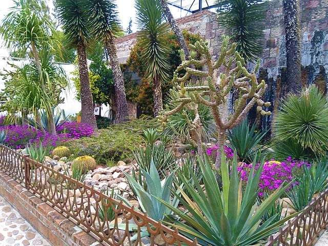 Plants in the courtyard at Fabrica Aurora in San Miguel de Allende Mexico, one of the stops on several San Miguel de Allende food tours.