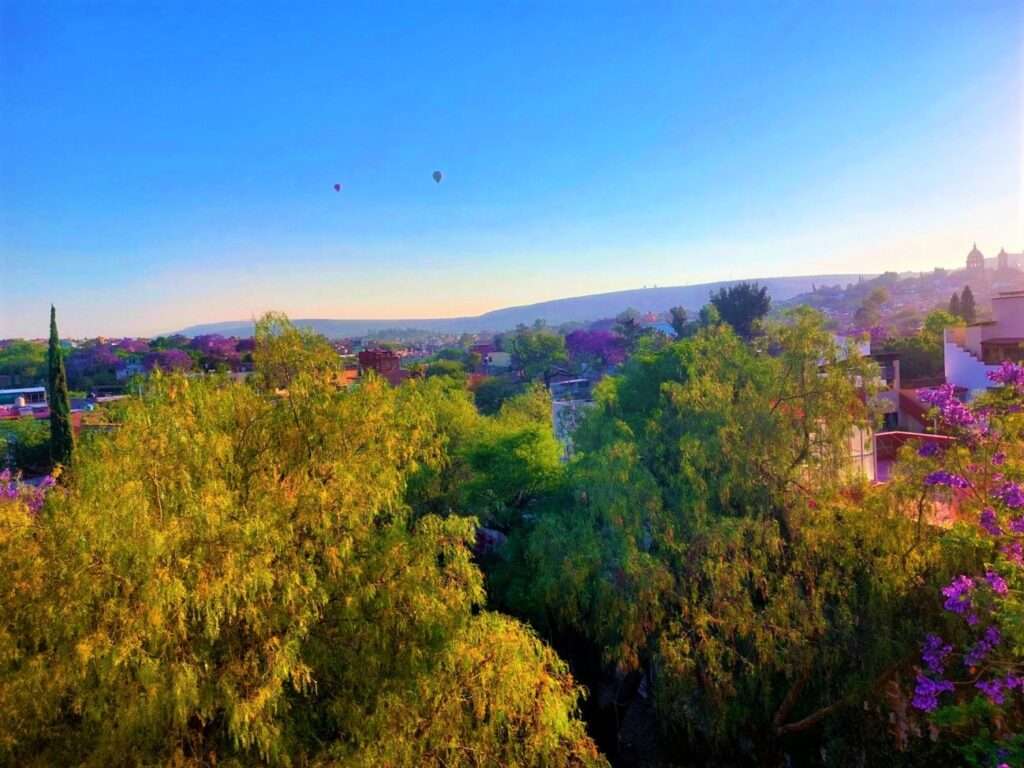 If you visit San Miguel de Allende with kids in the spring, you'll get to see the Jacaranda trees in bloom!