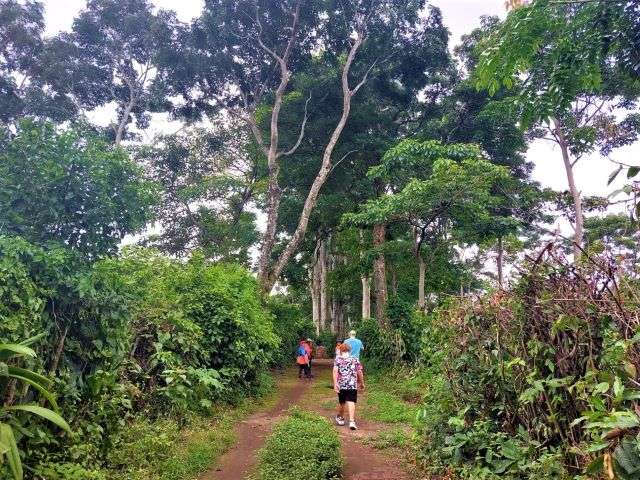 Volunteering isn't one of the digital nomad jobs for beginners in the traditional sense but it does give you free housing in exchange for work.