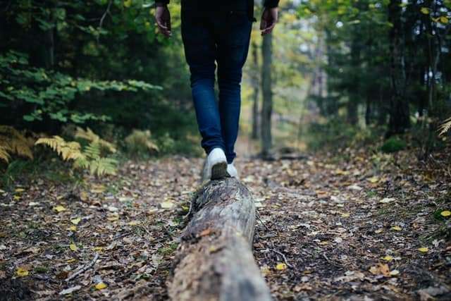 Hiking is one of the best outdoor things to do in tri-cities tn.
