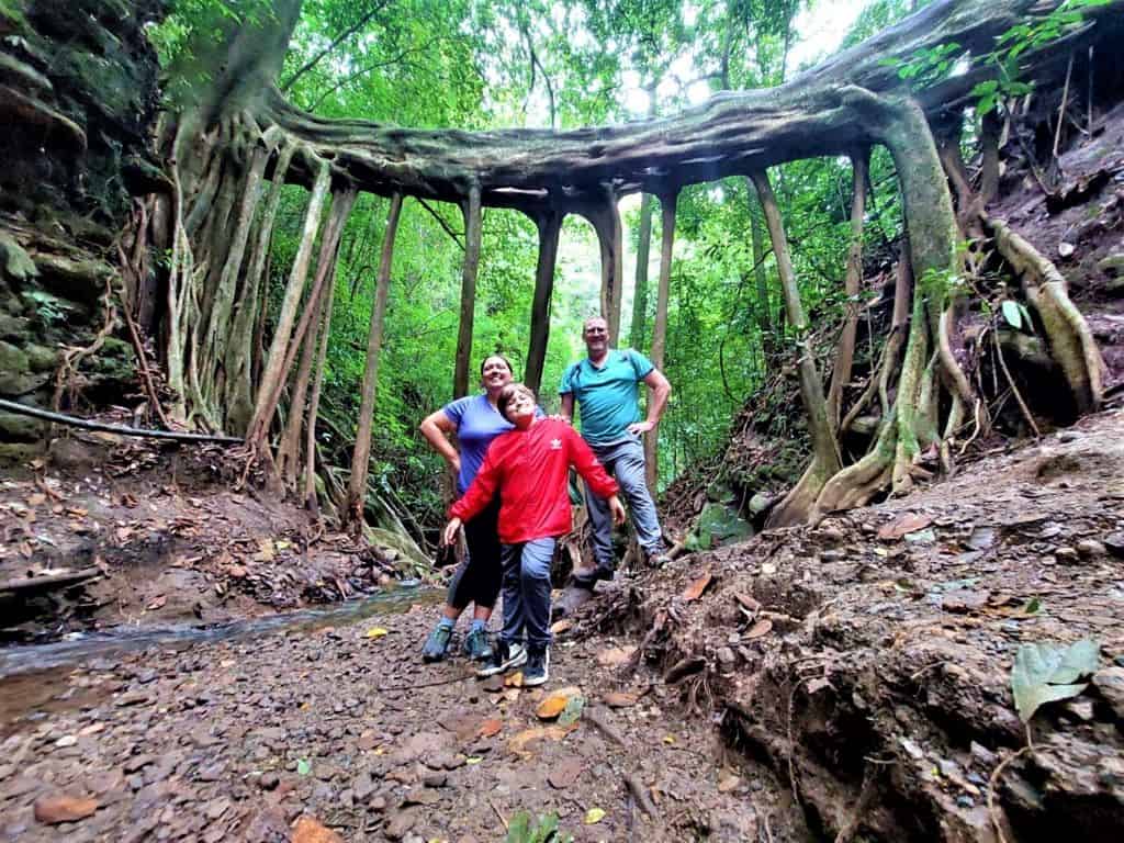 The Ficus de Raiz hike is one of the more fun things to do in Monteverde with kids.
