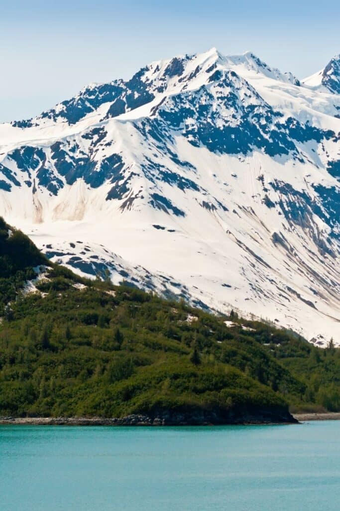 Close up of a snowy mountain base in Alaska with a pine forest in the foreground.