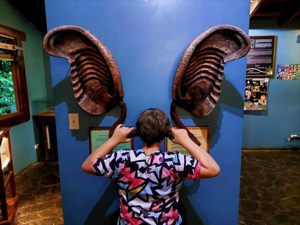 The Bat Jungle is one of our favorite things to do in Monteverde with kids.