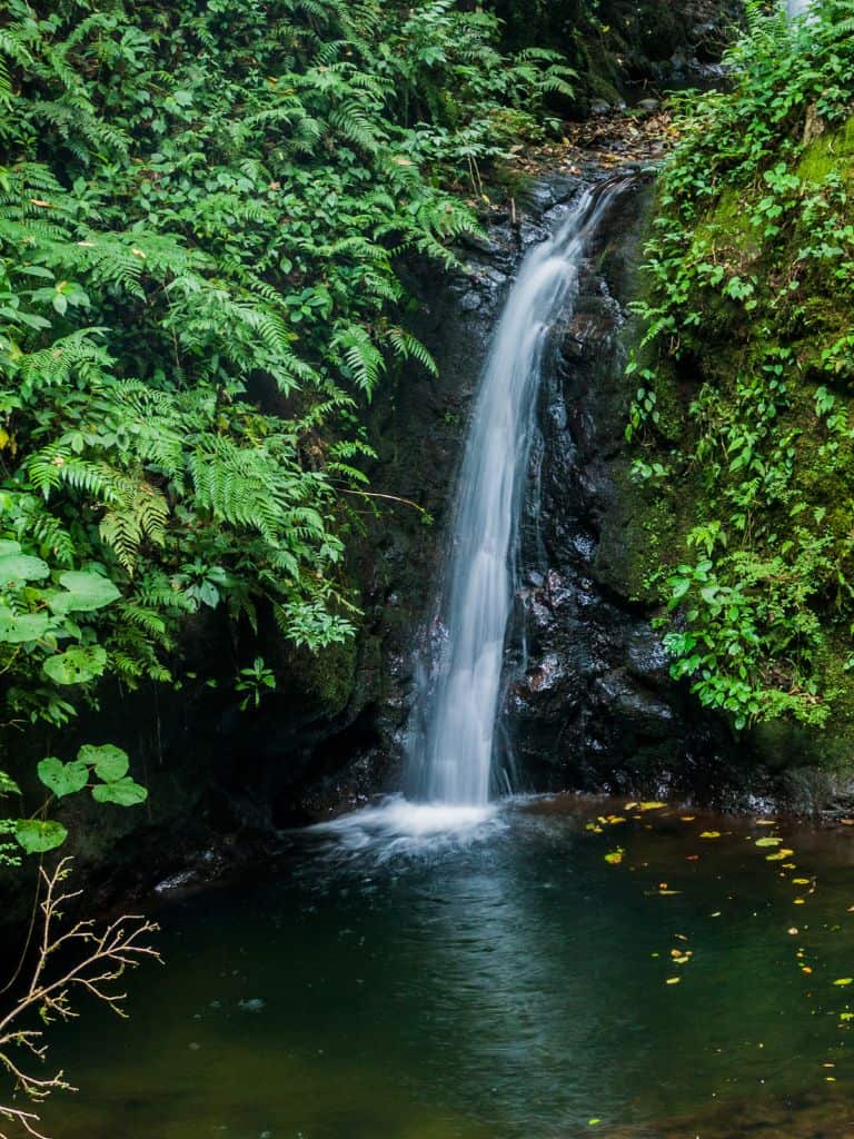 Monteverde waterfall hikes are a great way to see wildlife in the cloud forest.