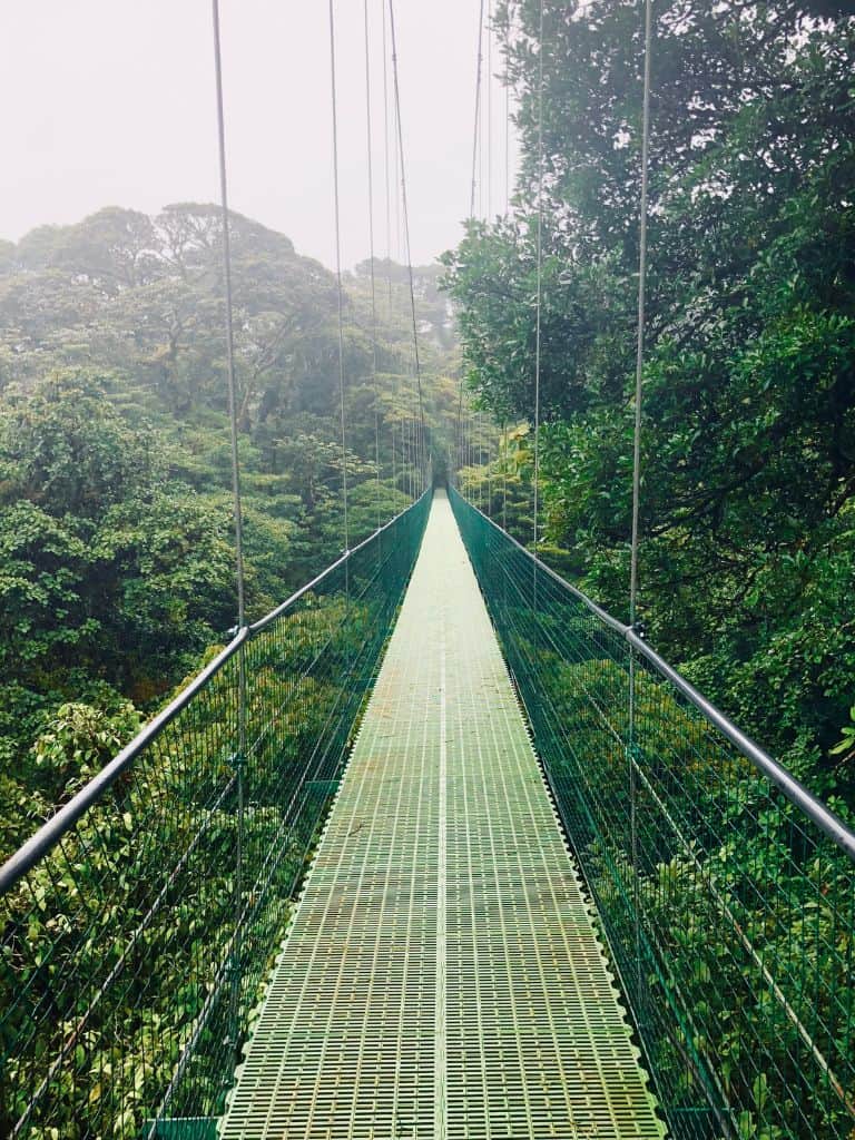 The hanging bridges Monteverde offers at Aventura Park have a good chance of seeing wildlife but not of seeing amazing views.