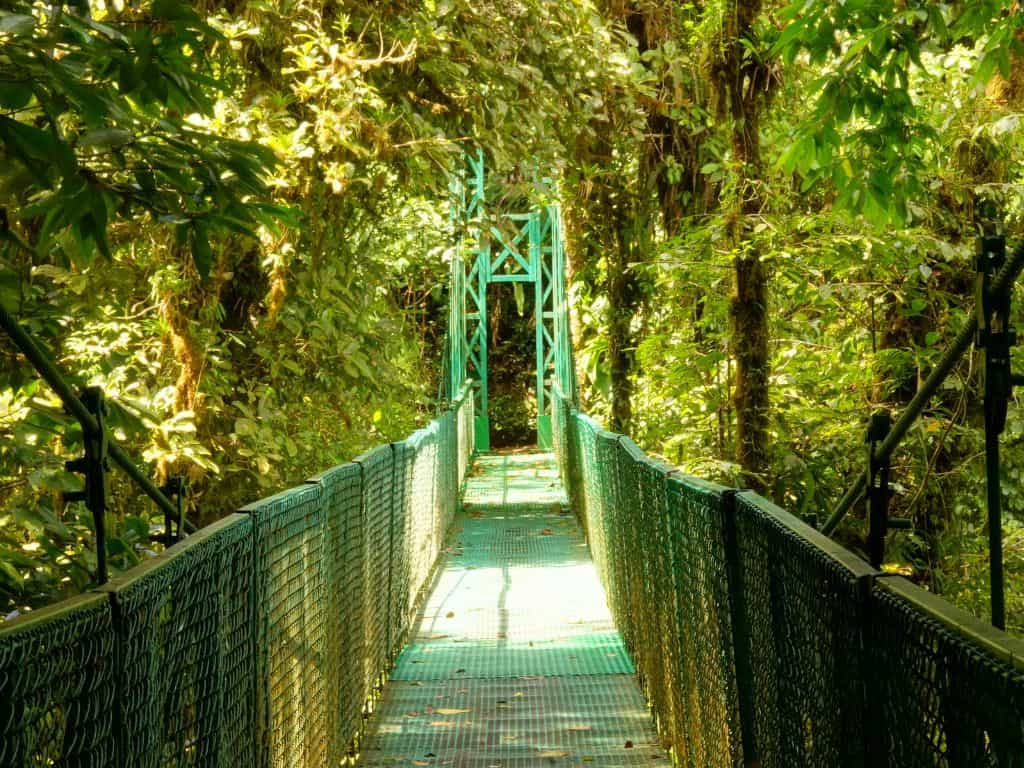 The hanging bridges in Monteverde at Selvatura park are a bit steep in spots.