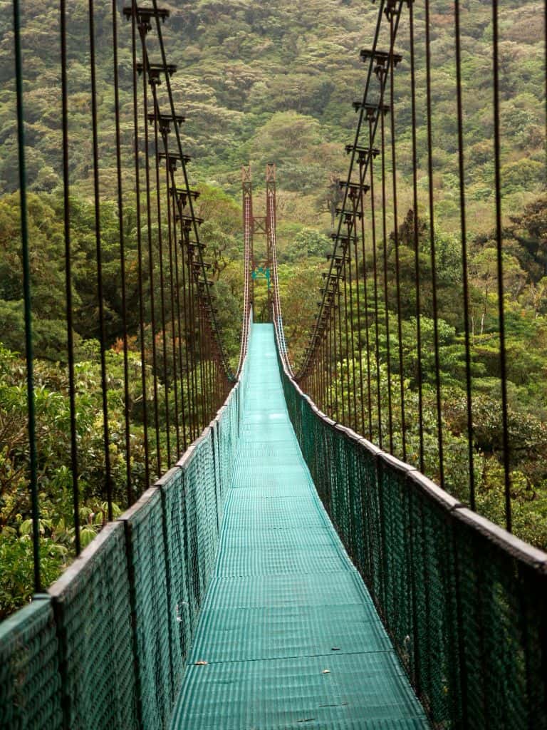 The hanging bridges in Monteverde take you among the treetops instead of just hiking below them.