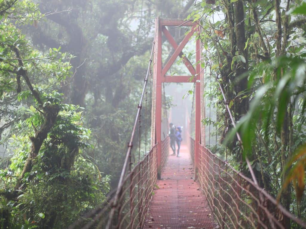 Of the hanging bridges in Monteverde, the one in the monteverde cloud forest preserve is the oldest.