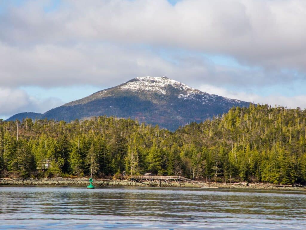 Snowcapped mountain in Alaska as seen from the water, with a pine forest in front of it.