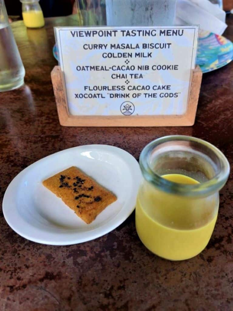 Viewpoint tasting menu at Vanilla Villa Costa Rica.