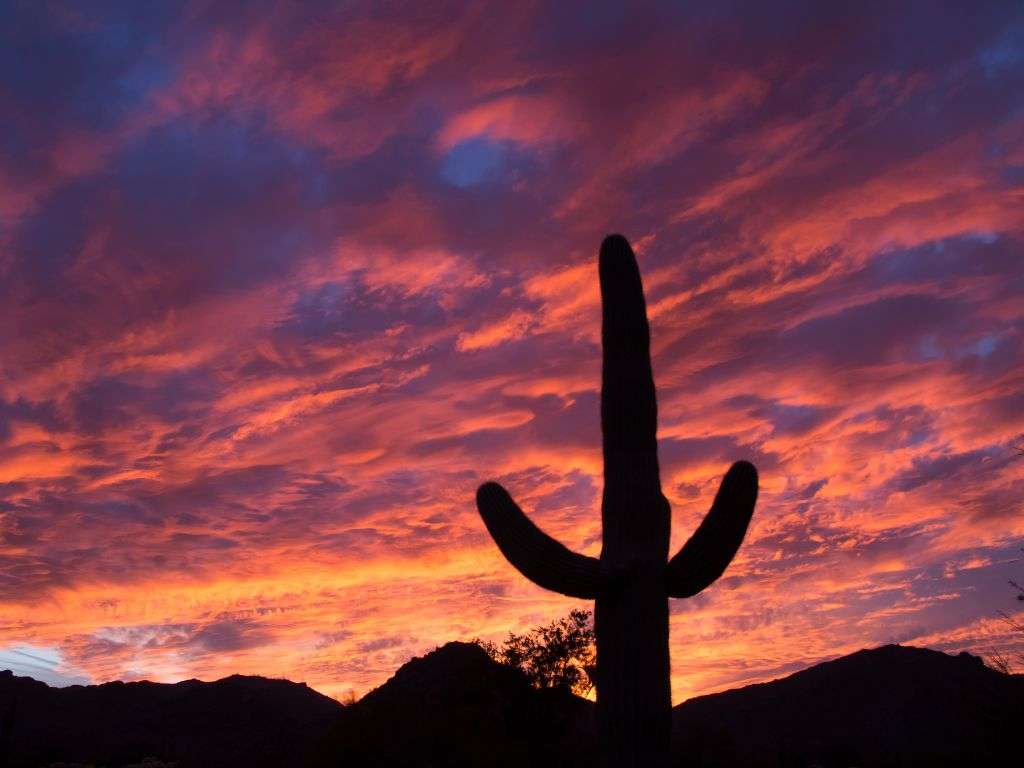 Fun day trips from Scottsdale include White Tank Mountains Regional Park.