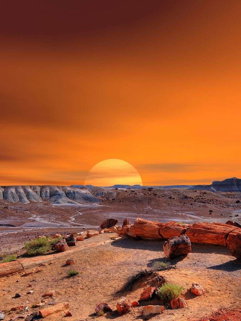 Fun day trips from Scottsdale include Petrified National Forest.