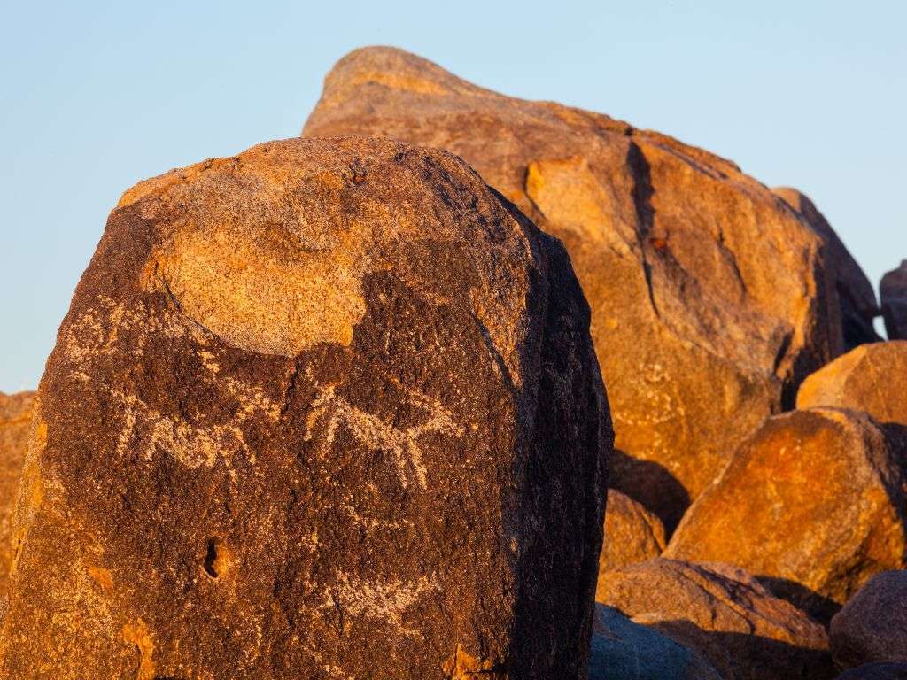 Fun day trips from Scottsdale include Saguaro National Park for hiking and petroglyphs.