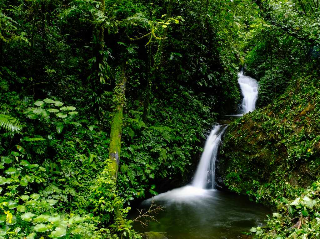 One Day Of Nature in Monteverde Package Wildlife Refuge Monteverde