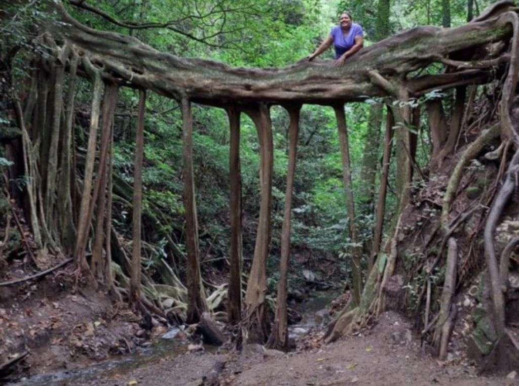 Making a trip from Jaco to Monteverde Cloud Forest is worth it.
