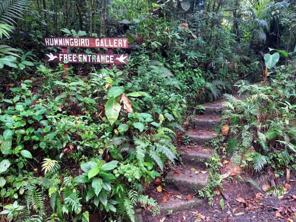 A visit to Monteverde from Jaco is worthwhile.