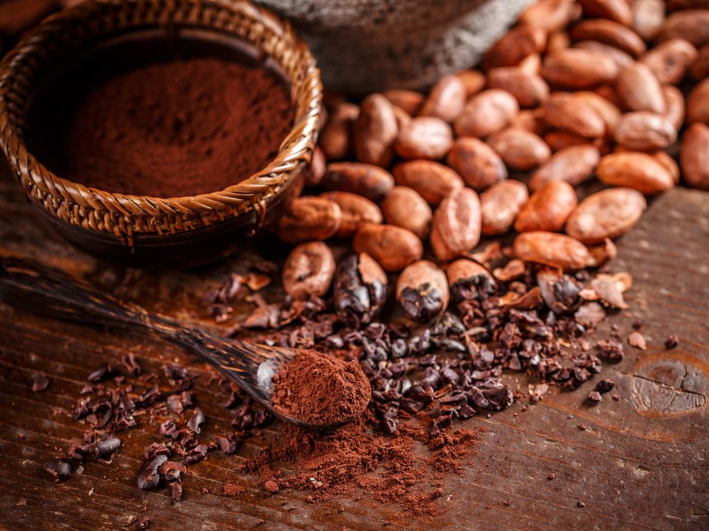 Ground cacao after a Temazcal Ceremony Tulum