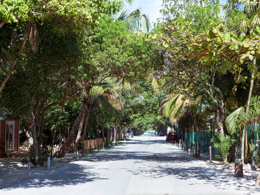 Road in Tulum Town