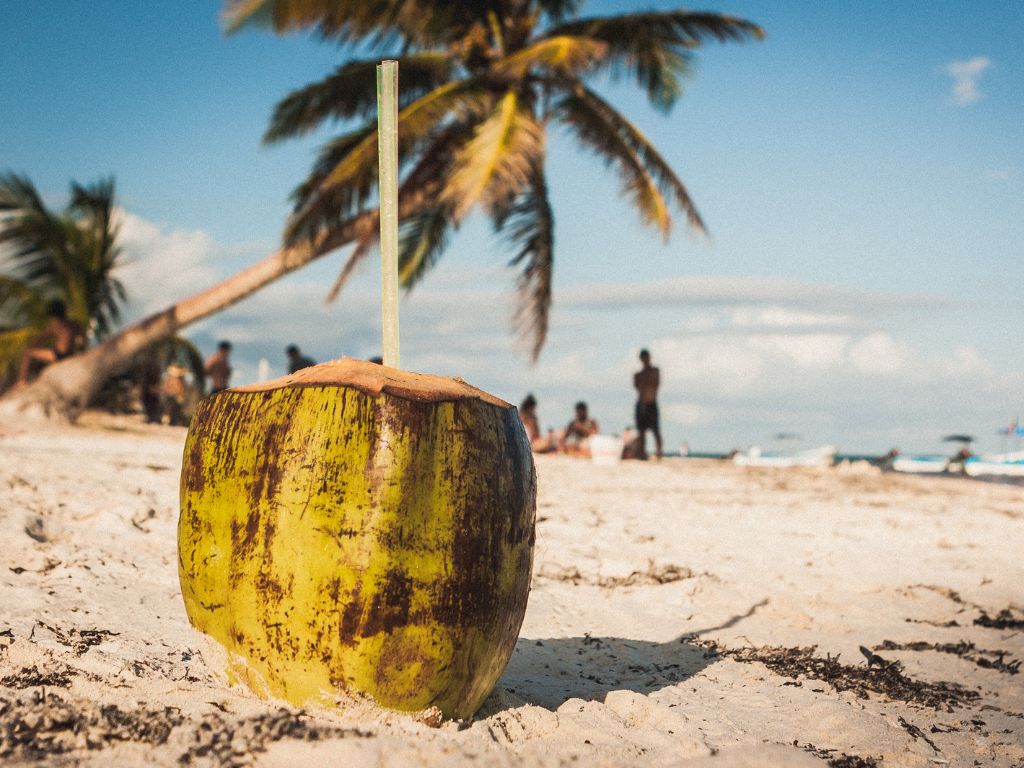 Playa paraiso beach in Tulum with kids.