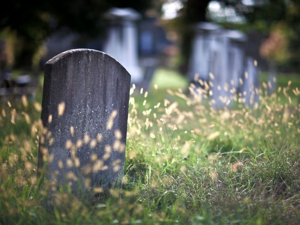 old gravestones among overgrown grass