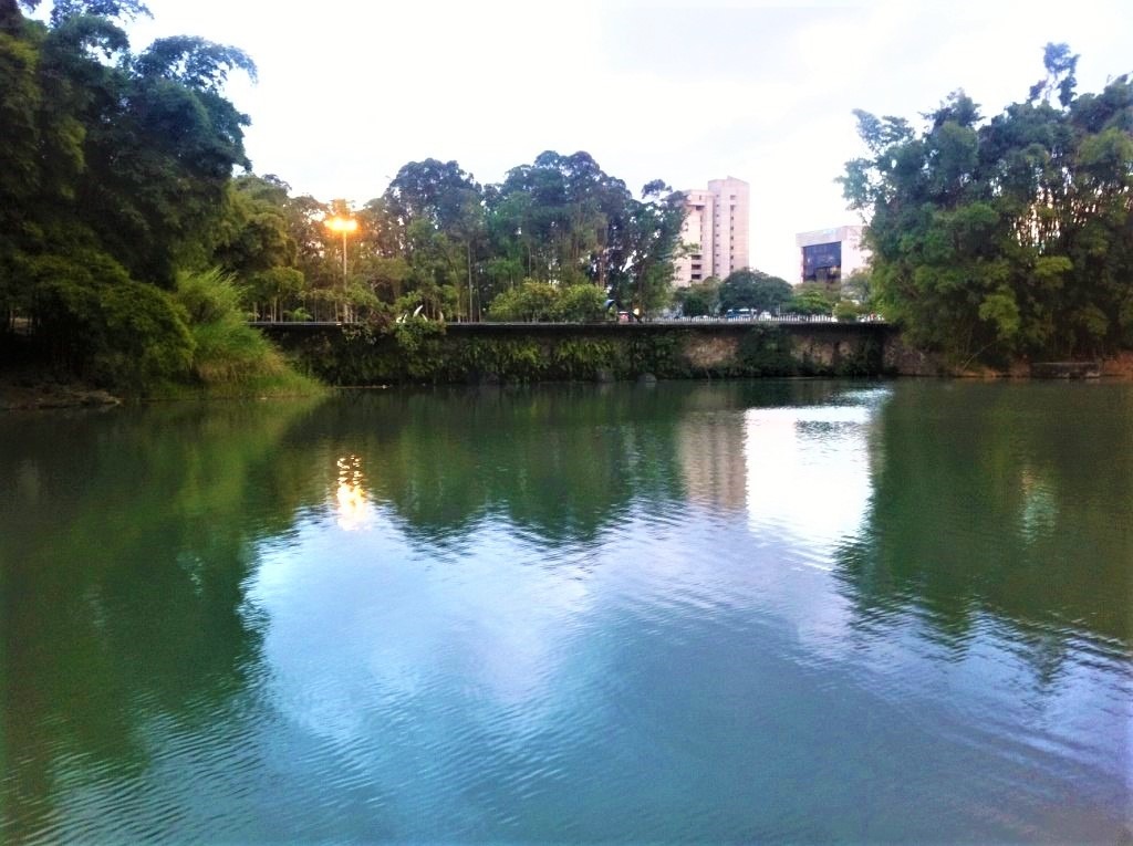 We loved the lagoon at Parque La Sabana in San Jose Costa Rica with kids.