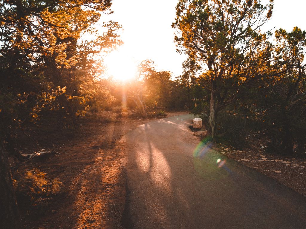 Sunset on a path at Grand Canyon Village in the Grand canyon South Rim