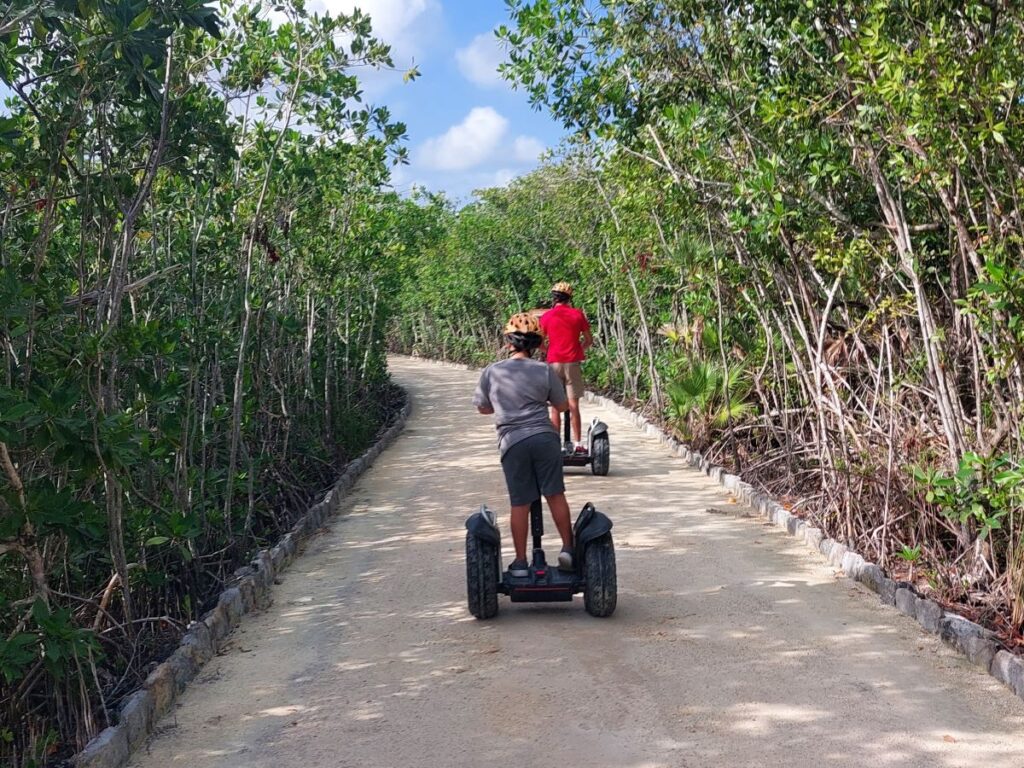 Little Man on a segway tour, following the tour guide.