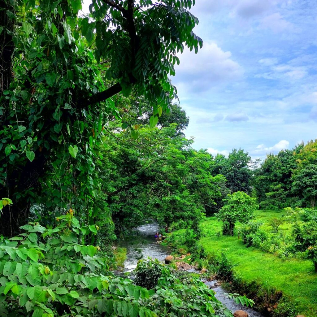 River in rural Guatemala, surrounded by trees and lush greenery.