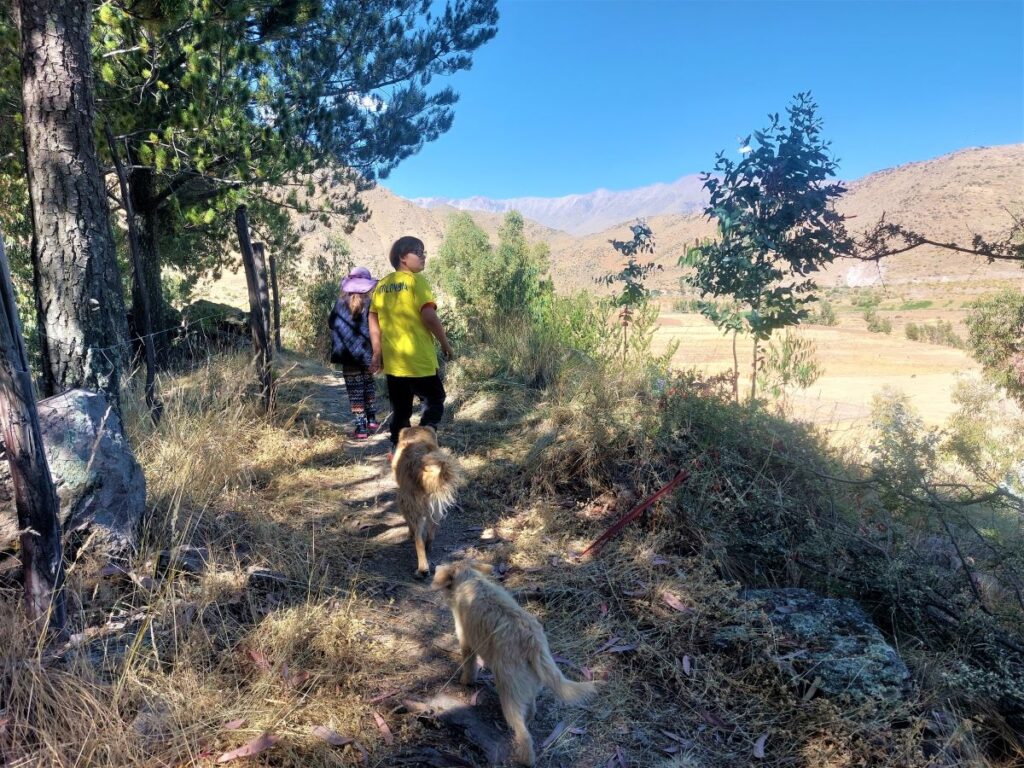 LIttle Man following a girl in a pink hat on a trail with two small, tan dogs in Peru.