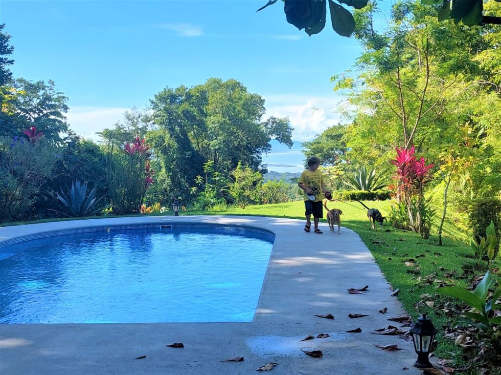 Little Man walking two dogs by a pool surrounded by greenery with an ocean view at a house site in Costa Rica. Both dogs are midsized. One dog is brown and the other dog is black.