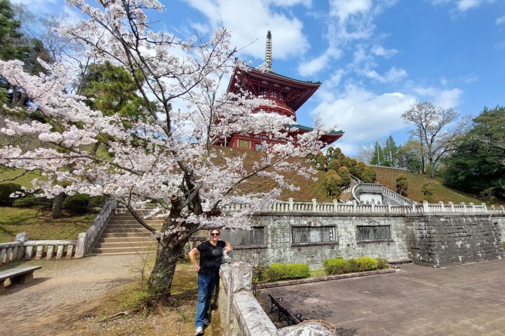 Brodi under a cherry blossom tree in front of a temple in Tokyo Japan