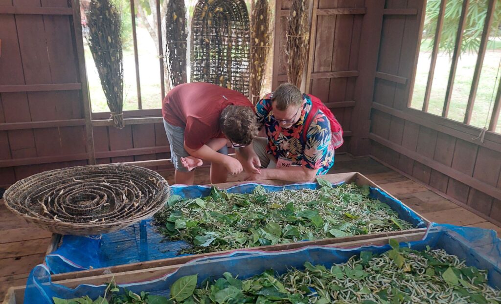 David and Little Man looking at silk worms at Angkor Silk Farm in Siem Reap with kids
